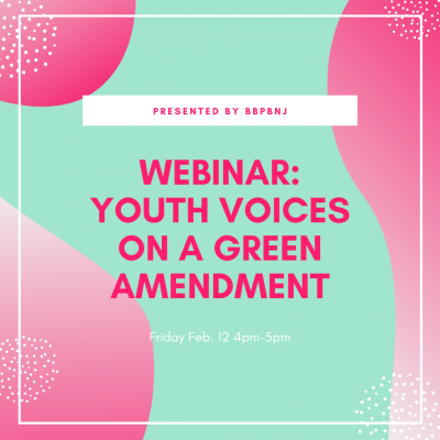 Webinar: Youth Voices on a Green Amendment
